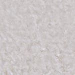 Crema Marfil™ - Marble