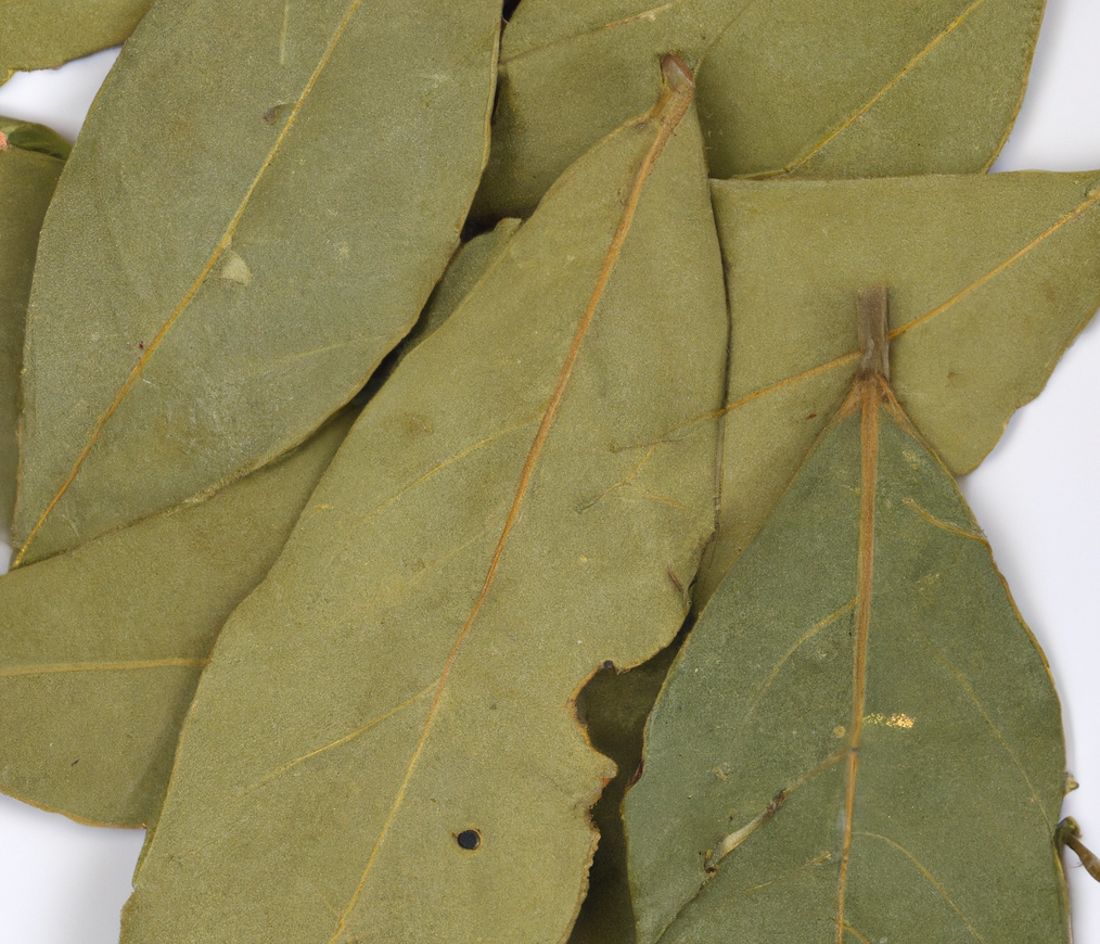 bay leaves for cockroaches