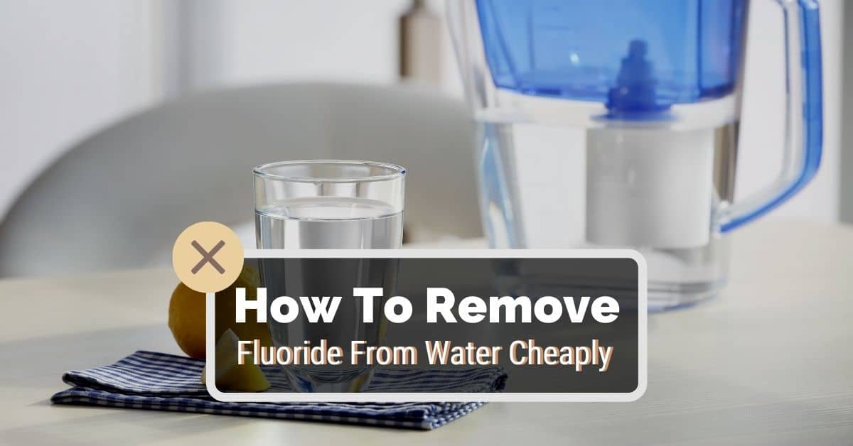 How to Remove Fluoride from Water for Plants 