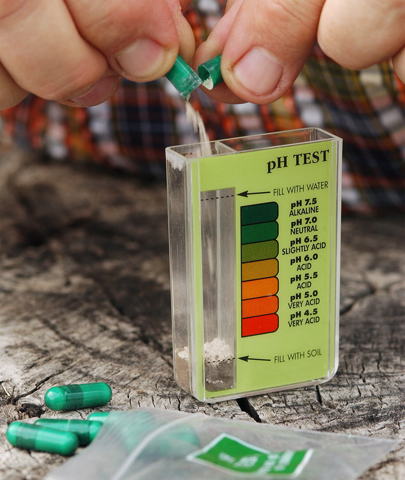 How To Test Soil Ph
