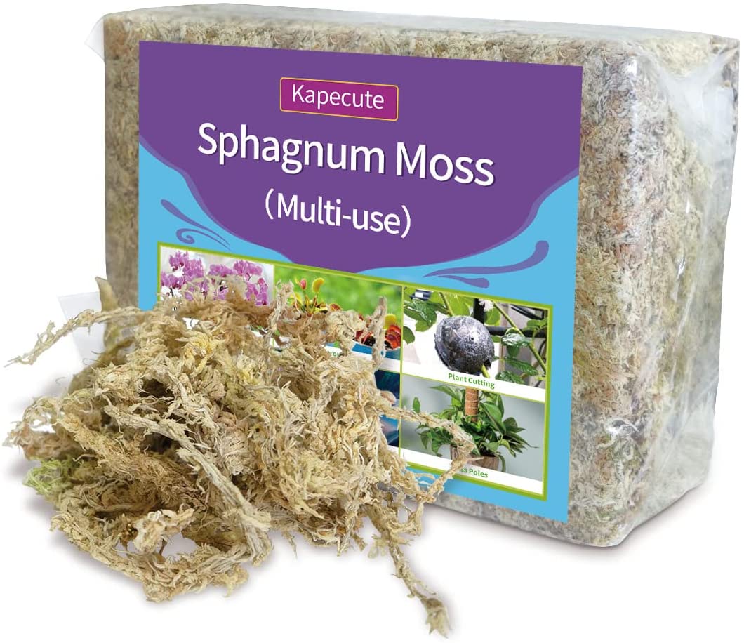 Sphagnum Moss