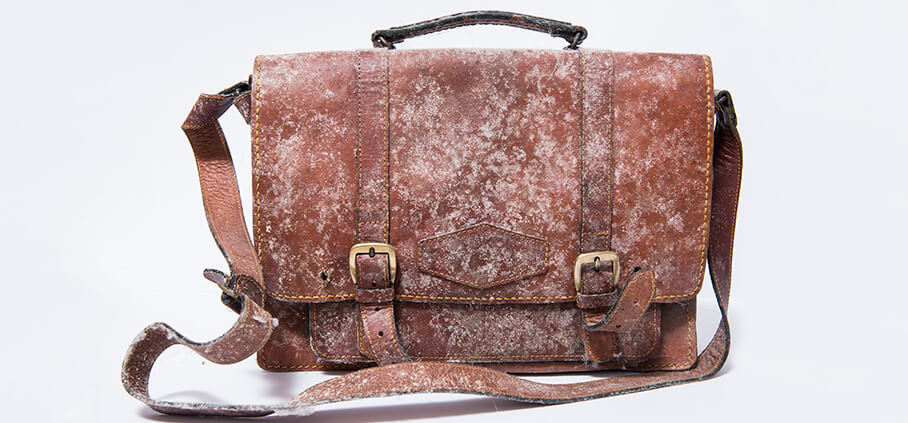 How To Remove Mildew From Leather
