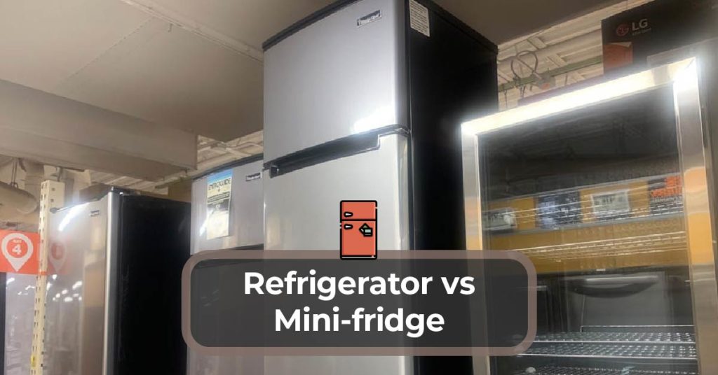Mini-fridge vs Refrigerator
