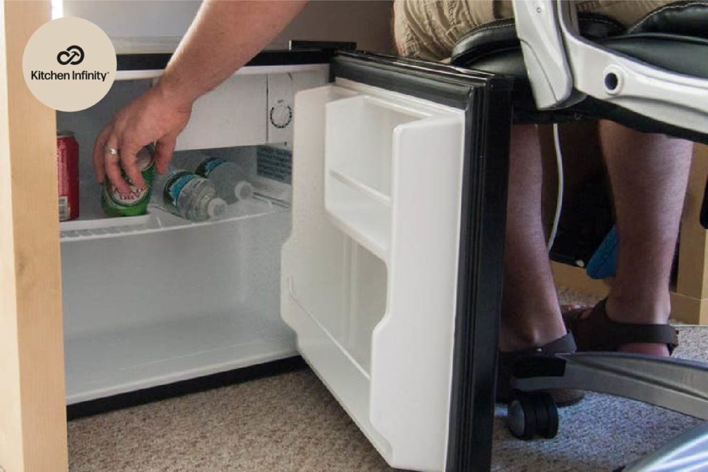 Refrigerator vs Mini-fridge