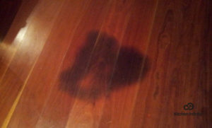 how to remove black urine stains from hardwood floors