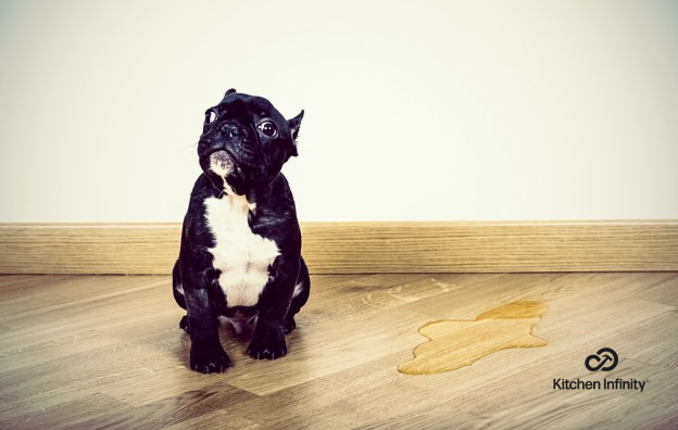 how to remove pet stains from hardwood floor
