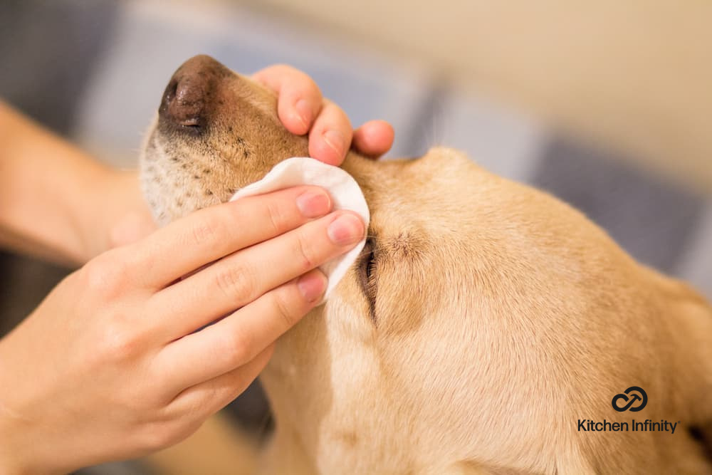 how to remove dog tear stains