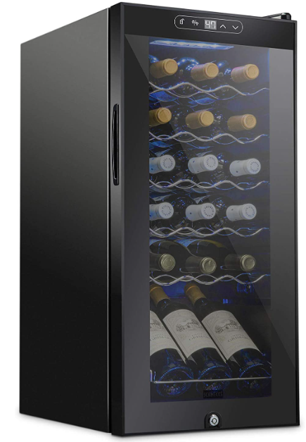 STAIGIS Wine Cooler Refrigerator, Freestanding Wine Fridge