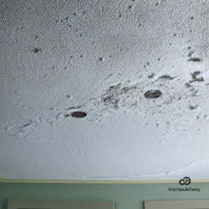 Mold on Bathroom Ceiling