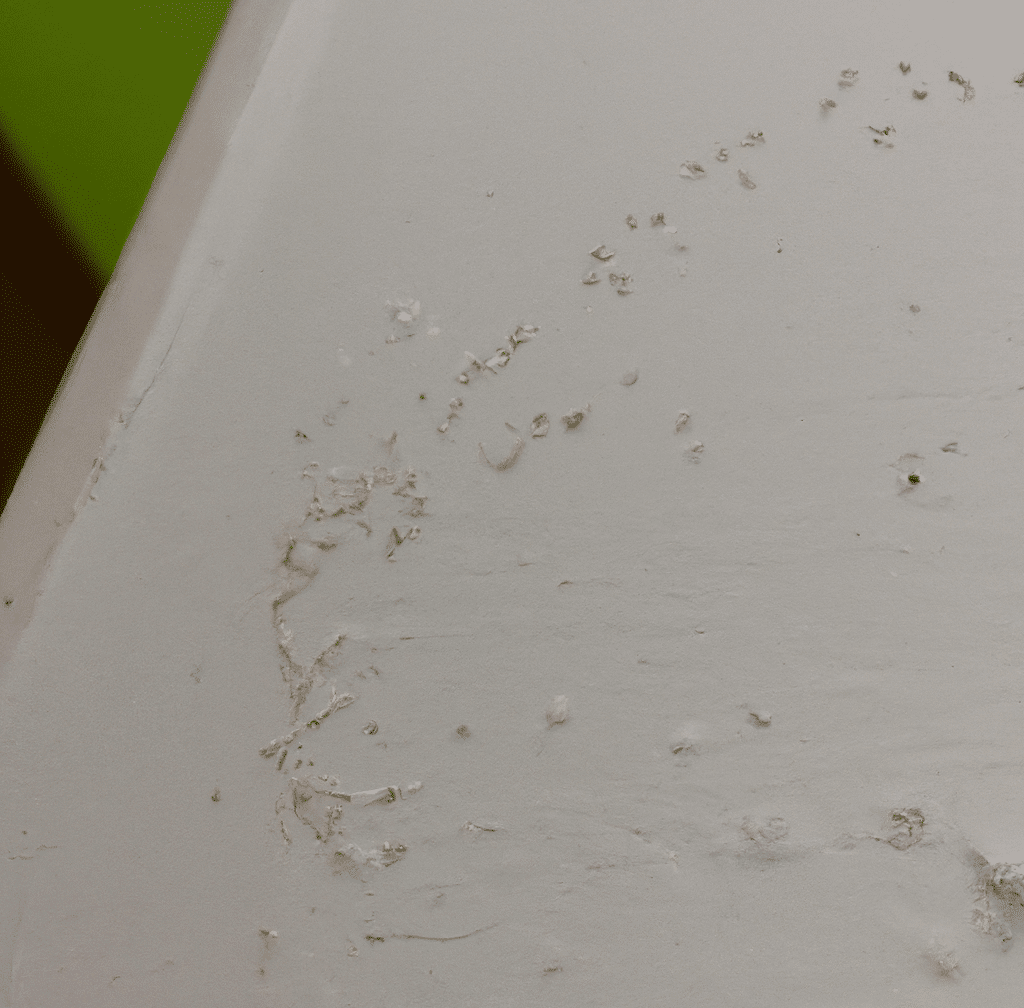 diminutive white bugs on walls in house