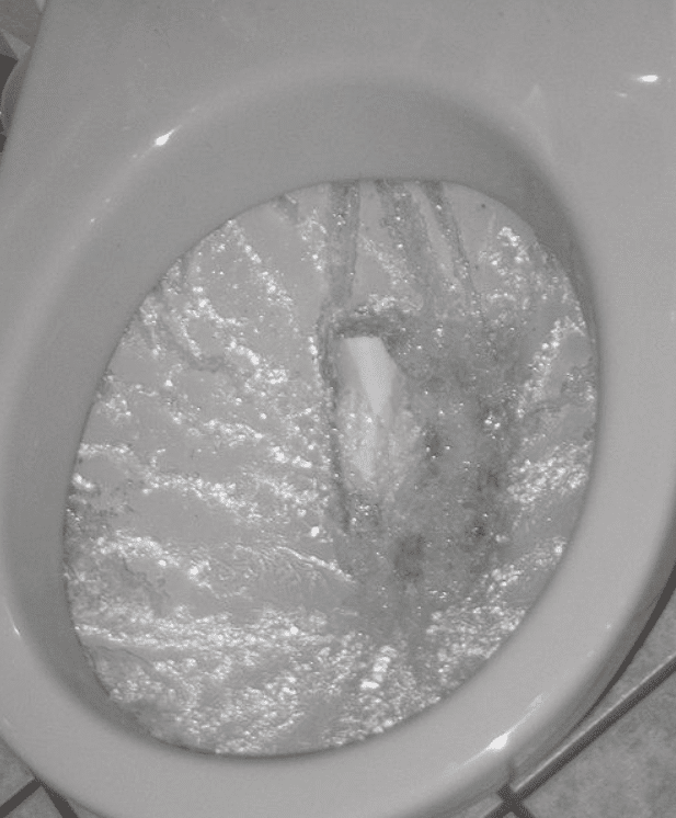 Flush toilet works