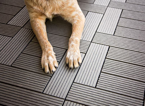 Kitchen Flooring Options for Pets